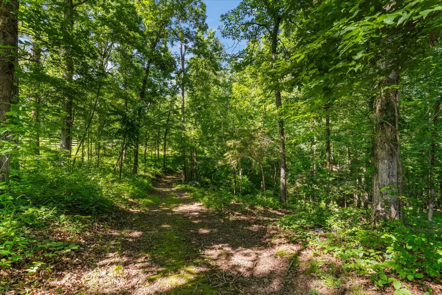 7865 Barnhill Rd, Primm Springs, TN 38476 - #3