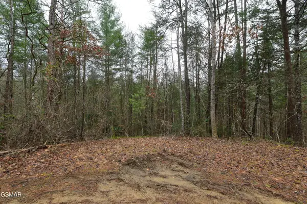 23 Alpine Ridge Way, Sevierville, TN 37876
