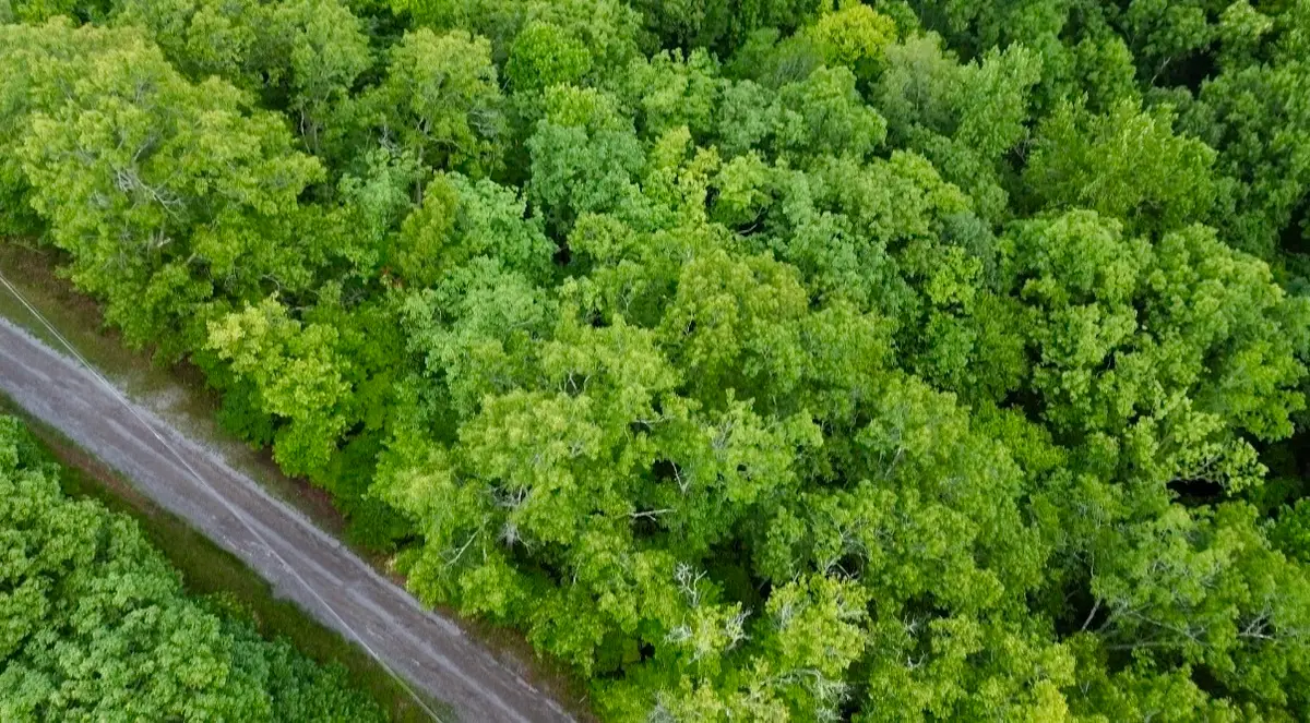 0 Skyline Dr, Smithville, TN 37166 - #1