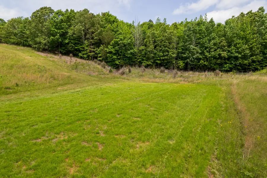 0 Pearson Road, Cedar Grove, TN 38321 - #3