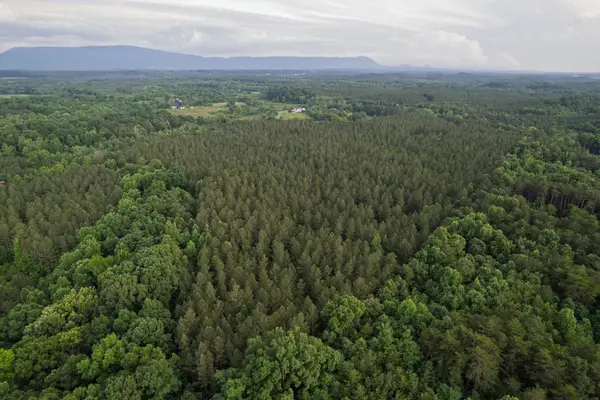 0 County Road 966, Calhoun, TN 37309