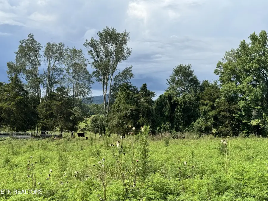 0 Collier Lane, Rock Island, TN 38581 - #2