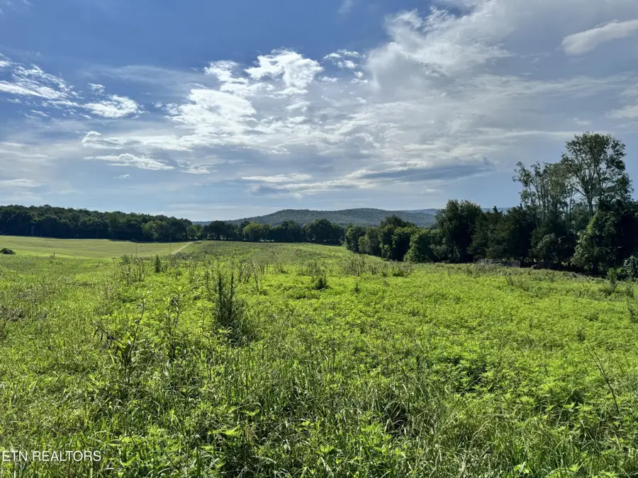 0 Collier Lane, Rock Island, TN 38581 - #3