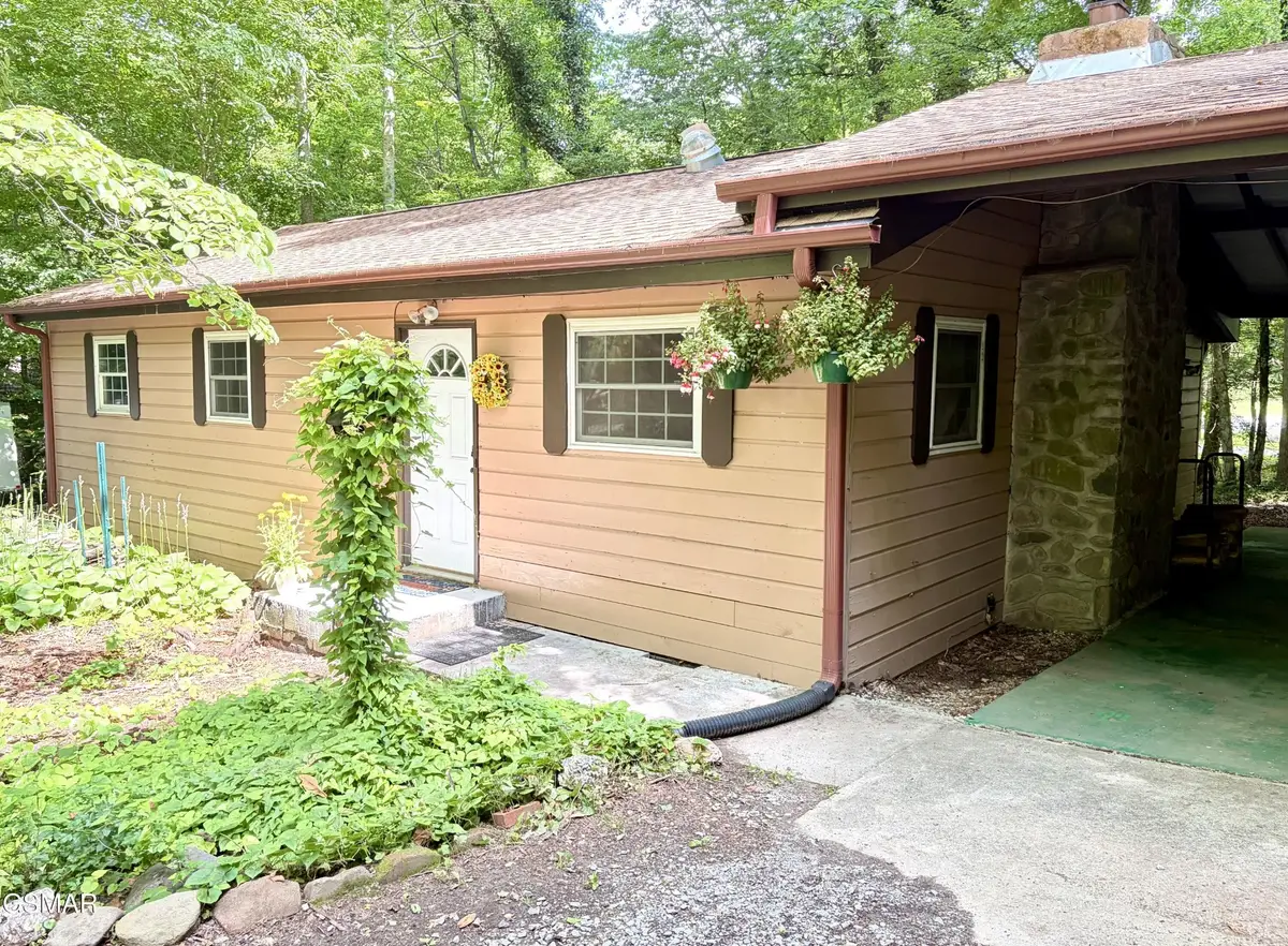 4413 E Scenic Drive, Gatlinburg, TN 37738 - #1
