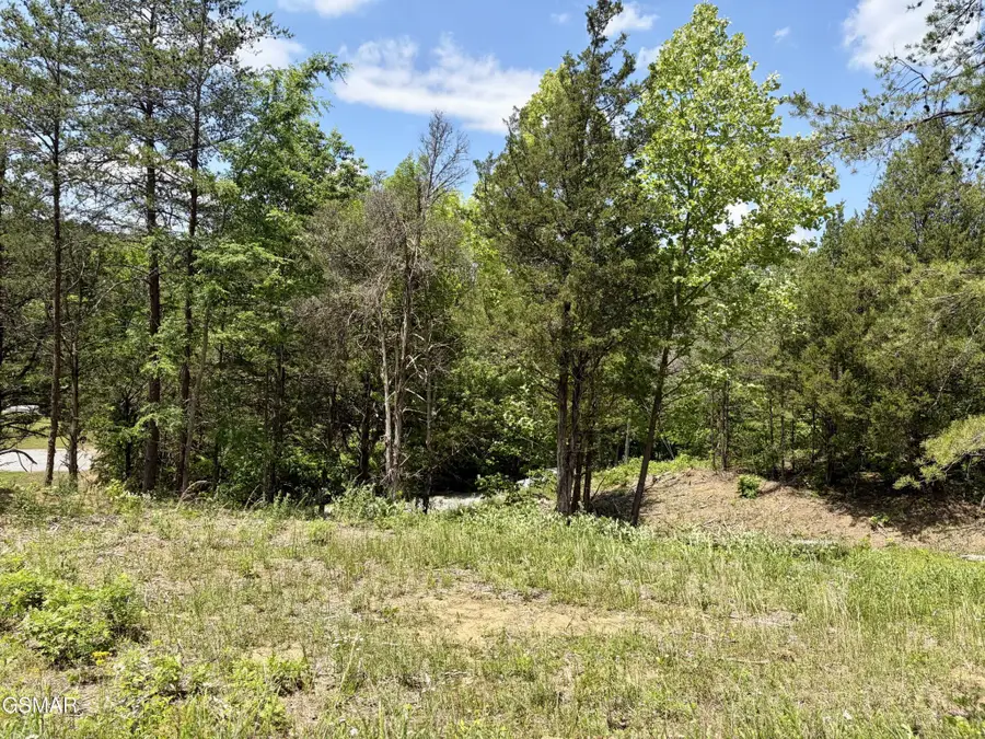 7 Burchfiel Way, Sevierville, TN 37876 - #2