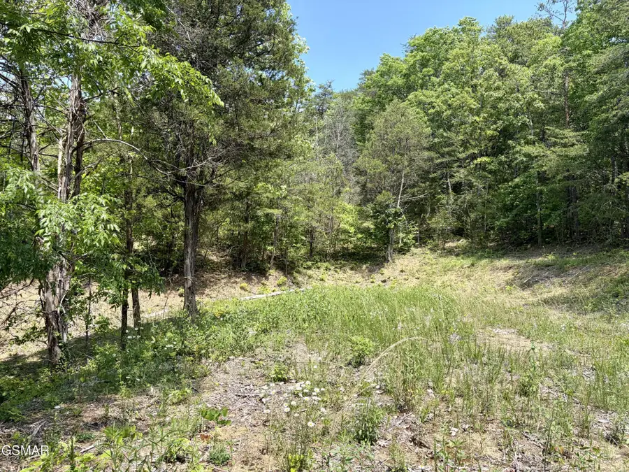 7 Burchfiel Way, Sevierville, TN 37876 - #3