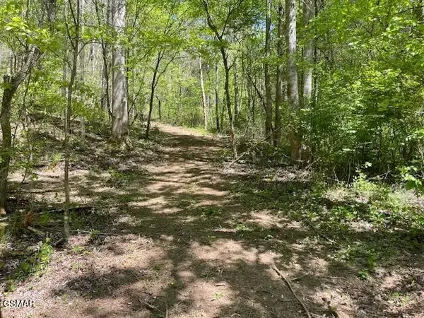 0 Jason Pl / Jones Cove Rd -off, Sevierville, TN 37876