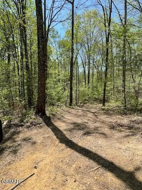 0 Jason Pl / Jones Cove Rd -off, Sevierville, TN 37876 - #2