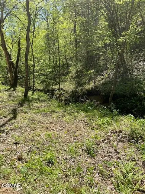 0 Jason Pl / Jones Cove Rd -off, Sevierville, TN 37876 - #3