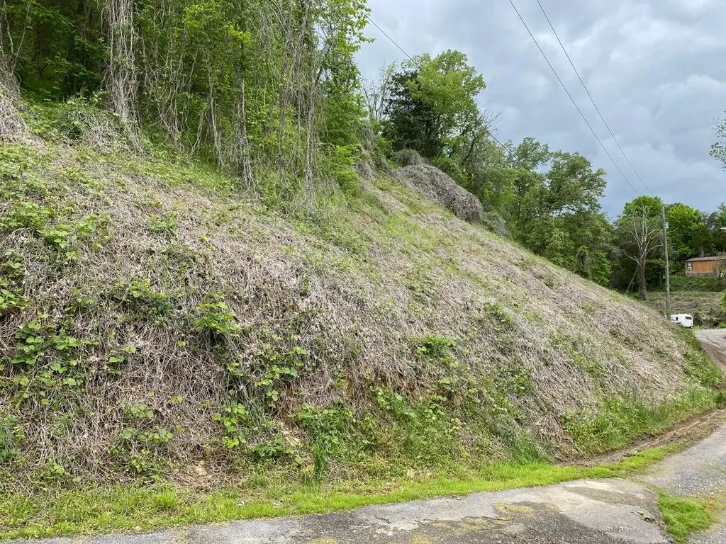 4 Coveside Way, Sevierville, TN 37876 - #1