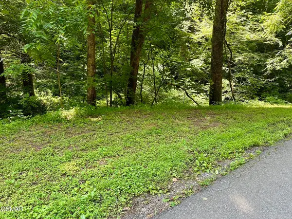 706 School House Gap Road, Sevierville, TN 37876