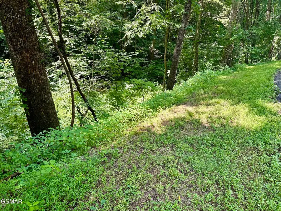 706 School House Gap Road, Sevierville, TN 37876 - #3