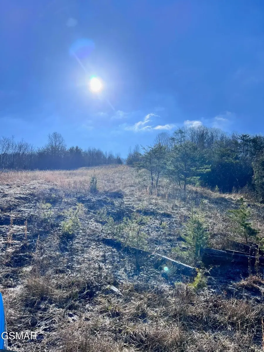 1581 Lower Caney Valley Road, Tazewell, TN 37879 - #2