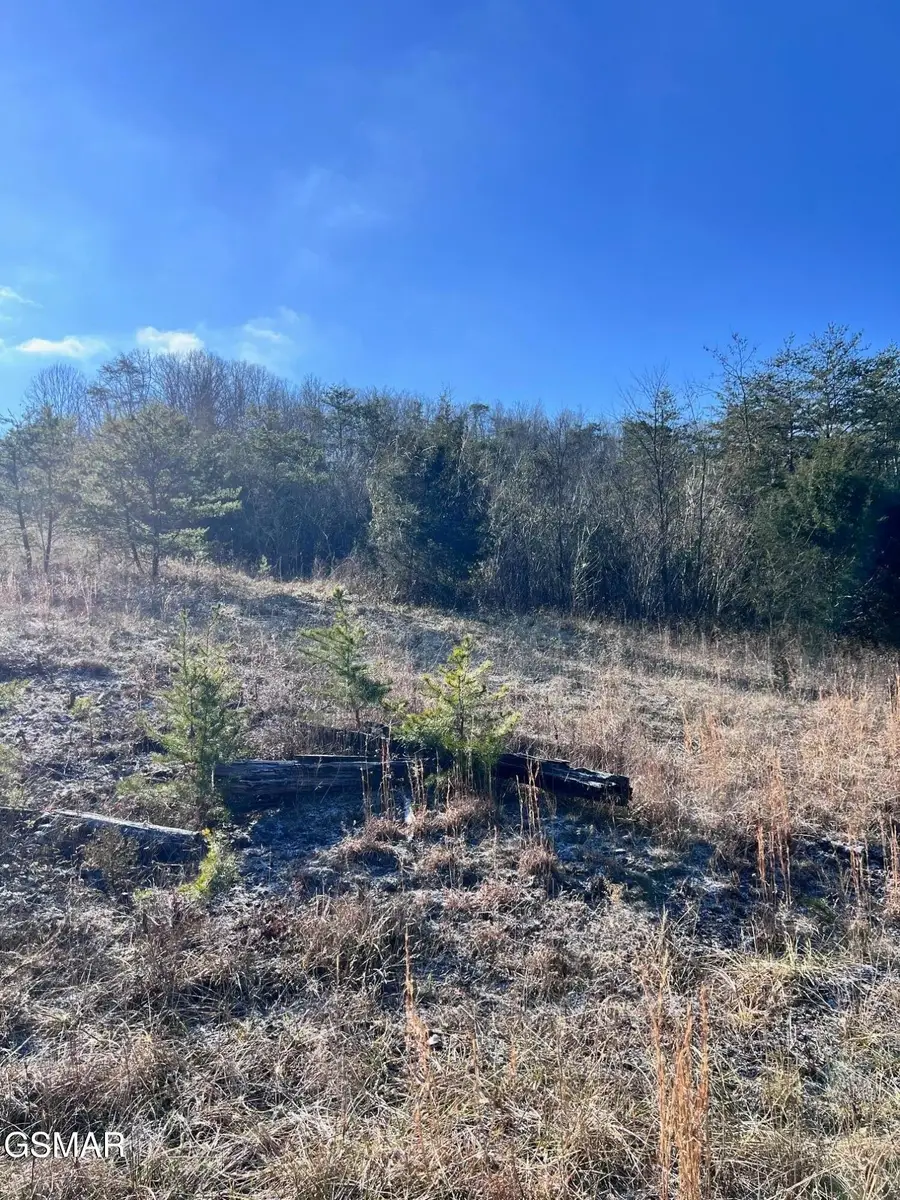 1581 Lower Caney Valley Road, Tazewell, TN 37879 - #3