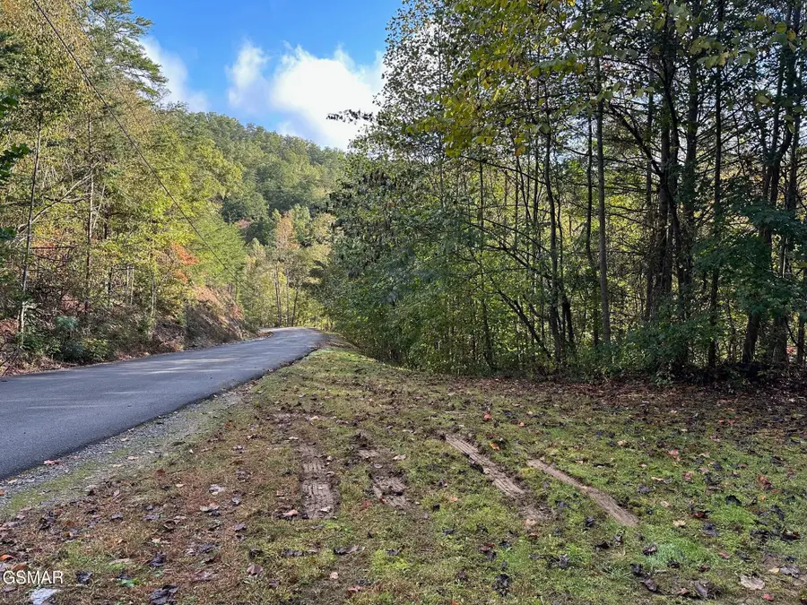 1423 Mountain Dreams Way, Sevierville, TN 37862 - #2