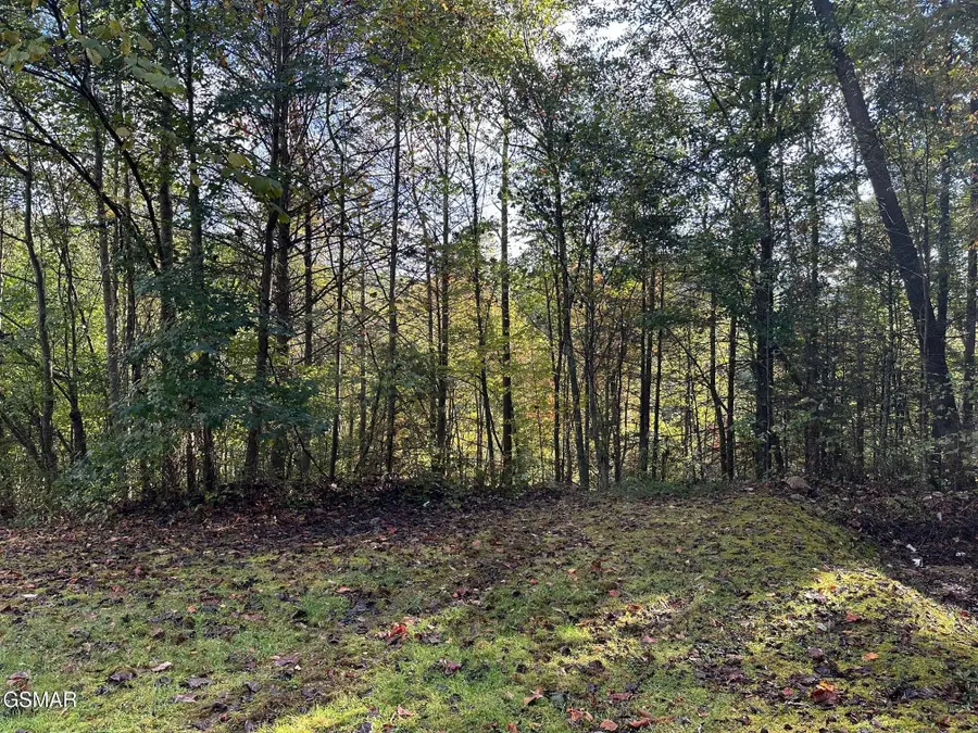 1423 Mountain Dreams Way, Sevierville, TN 37862 - #3