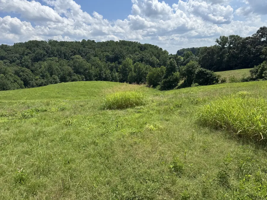 0 Potts Camp Rd, Smithville, TN 37166 - #2