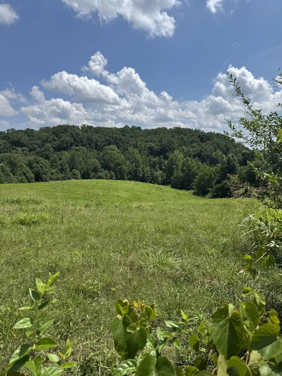 0 Potts Camp Rd, Smithville, TN 37166 - #3