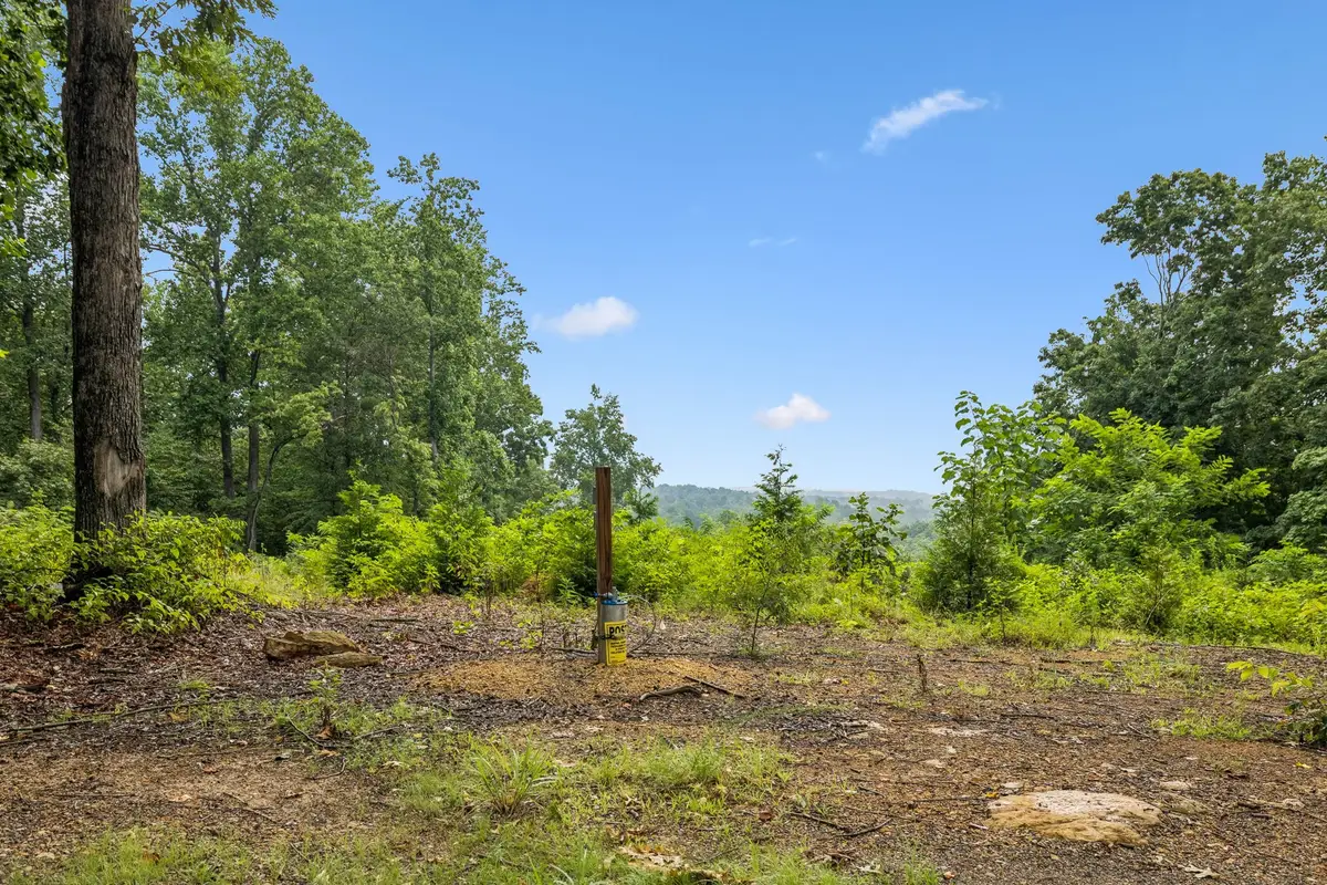 1065 Sioux Trail, Pegram, TN 37143 - #1