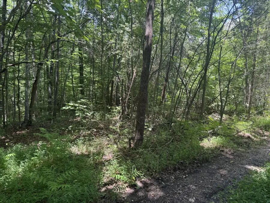 0 Wilder Hwy, Crawford, TN 38554 - #2
