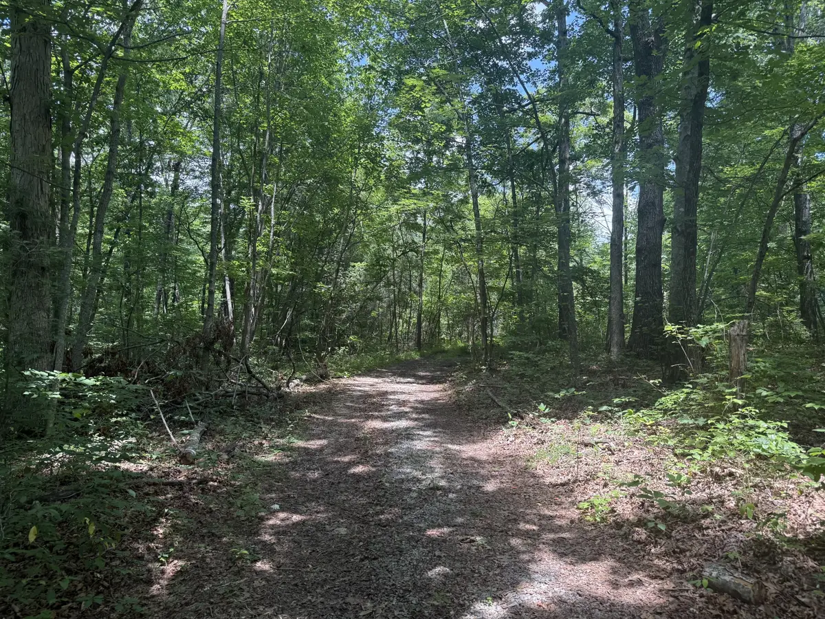 0 Wilder Hwy, Wilder, TN 38589 - #1