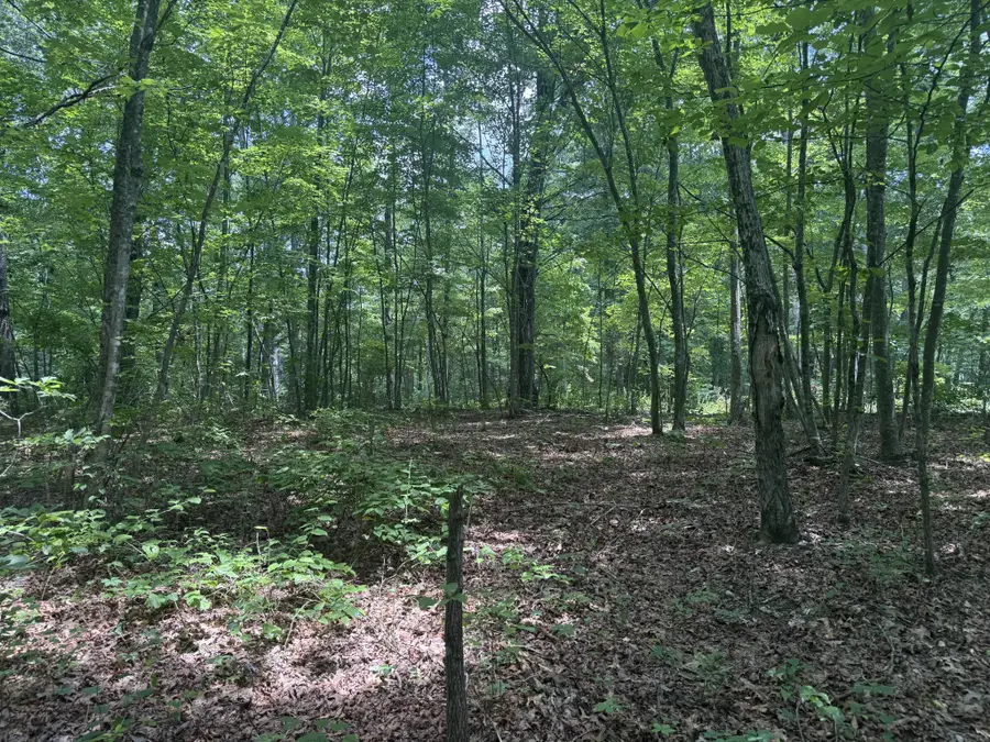 0 Wilder Hwy, Wilder, TN 38589 - #3