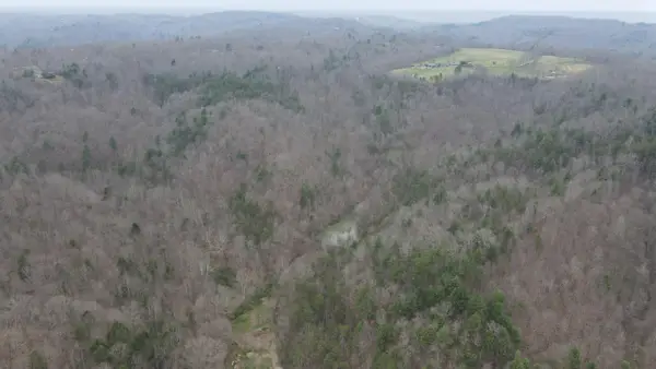 899 Morning Glory Hollow Road, Helenwood, TN 37755
