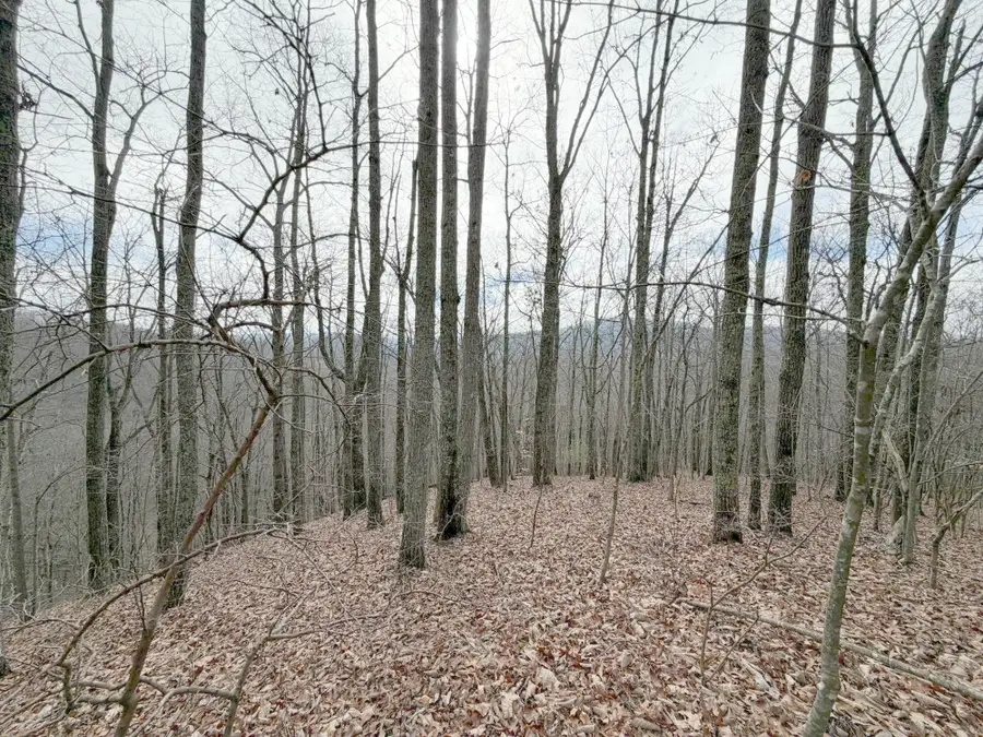 0 Grouse Ridge Road, Harriman, TN 37748 - #2