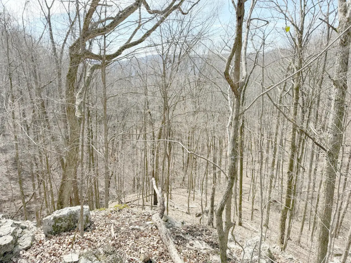 4872 Deer Run Road, Altamont, TN 37301 - #1