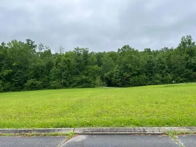 0 Frank Circle Circle, Dayton, TN 37321 - #1