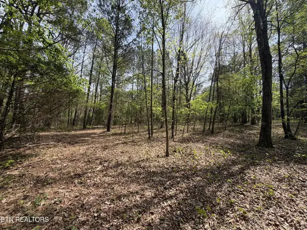 7836 Dry Valley Road, Loudon, TN 37774