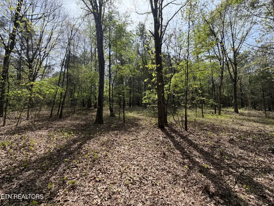 7836 Dry Valley Road, Loudon, TN 37774 - #2