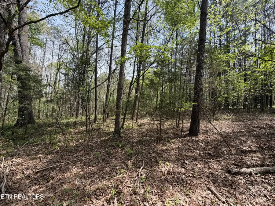 7836 Dry Valley Road, Loudon, TN 37774 - #3