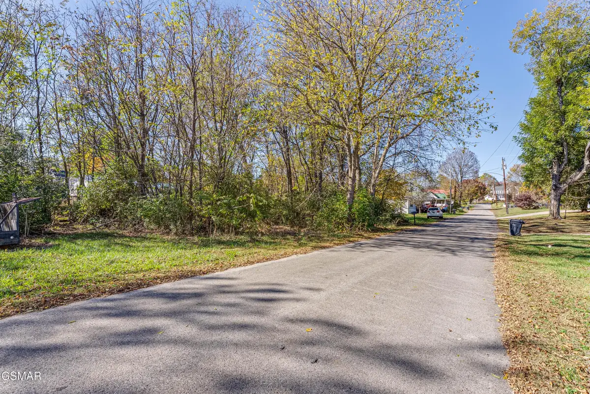 0 Creamery Street, White Pine, TN 37890 - #1