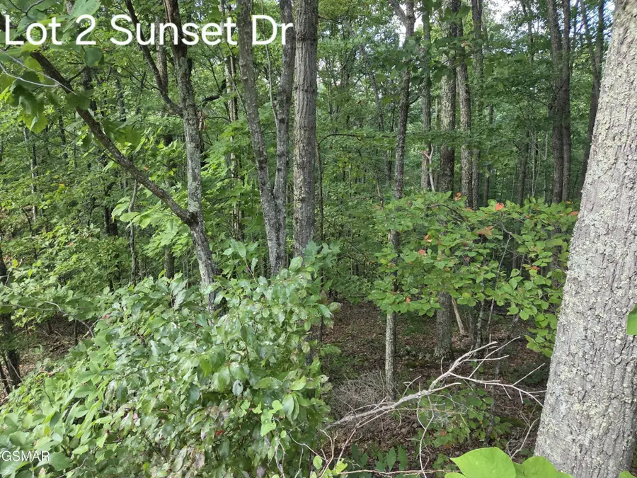 2 Sunset Drive, Sevierville, TN 37876 - #2