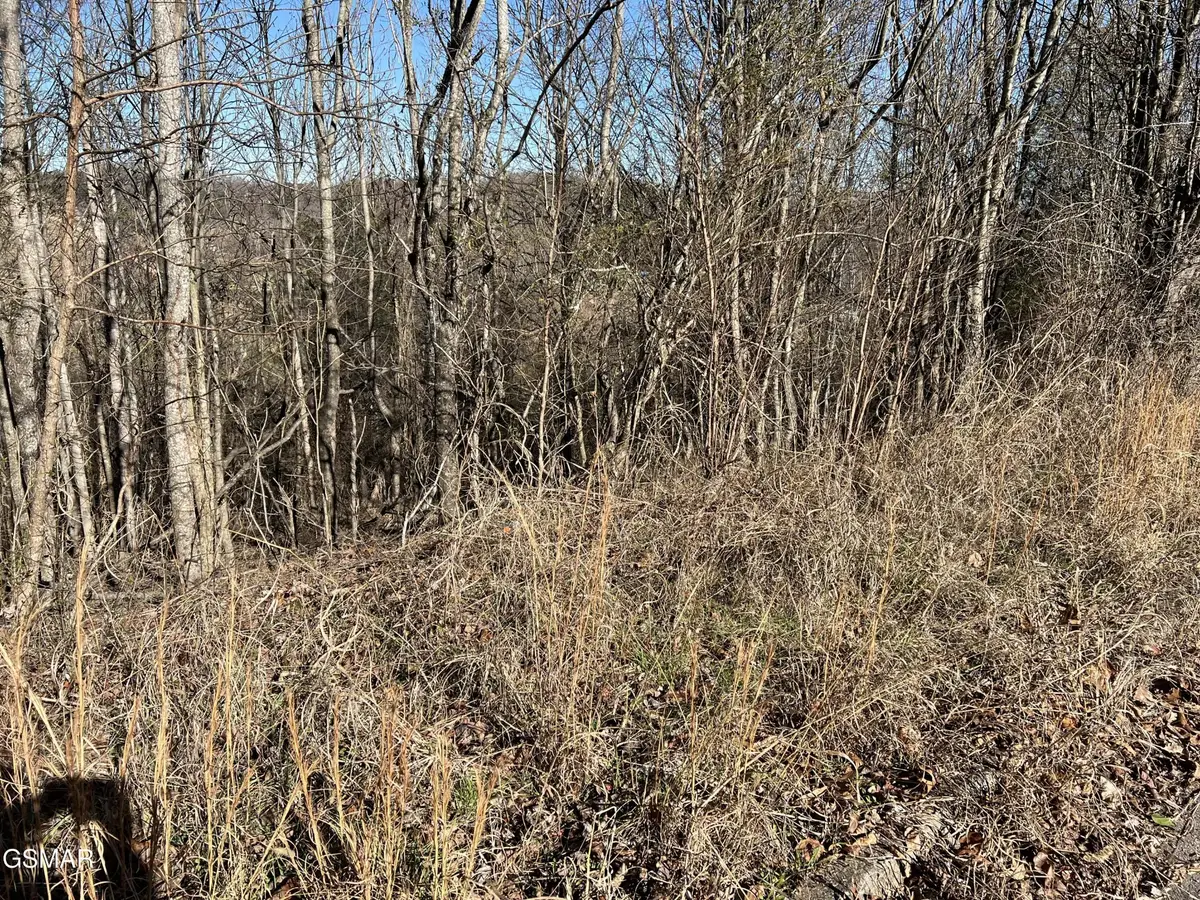 2 Baldwin View Drive, New Market, TN 37820 - #1