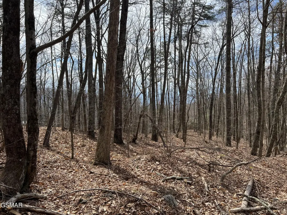 12 Swann Saddle Lane, Sevierville, TN 37876 - #1