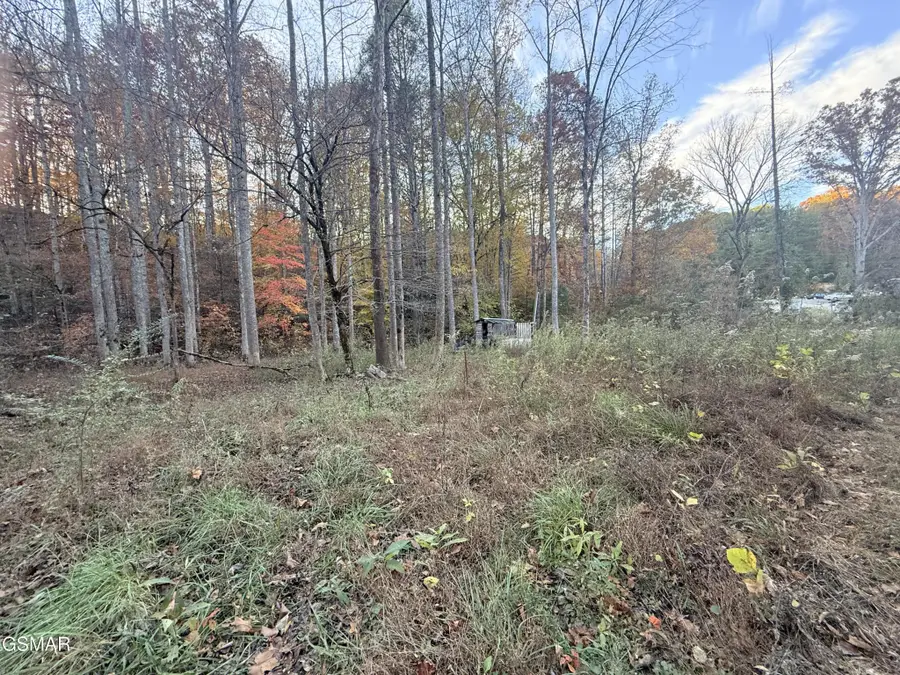 4243 Deerfoot Road, Newport, TN 37821 - #2