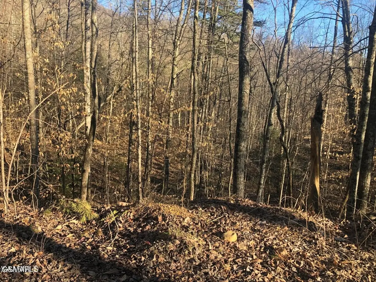 68 Yellowwood Drive, Sevierville, TN 37876 - #1