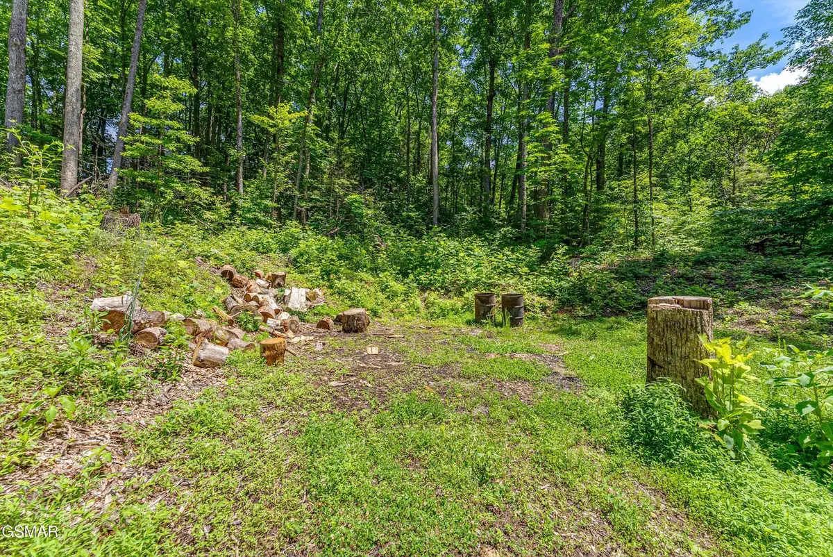 229 Sonshine Ridge Road, Cosby, TN 37722 - #1