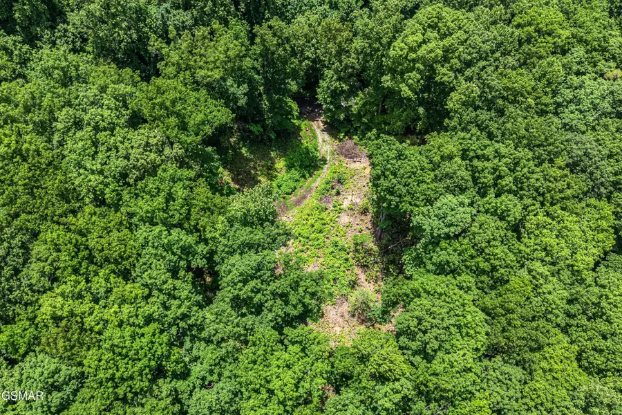 229 Sonshine Ridge Road, Cosby, TN 37722 - #3