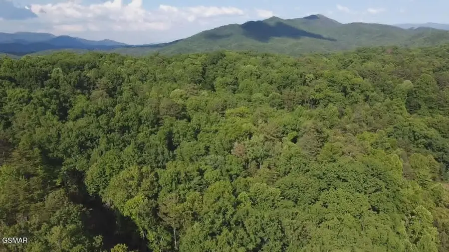 202122 Fox Hunters Lane, Sevierville, TN 37876 - #2
