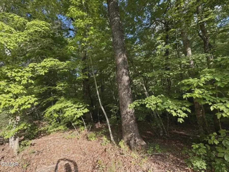 202122 Fox Hunters Lane, Sevierville, TN 37876 - #3