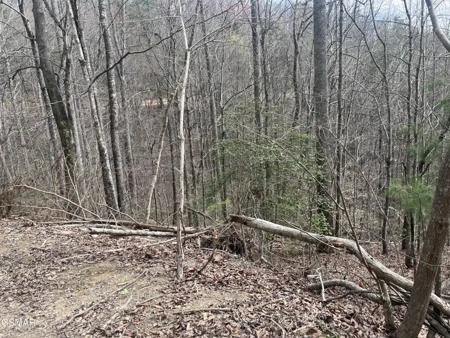 5554 71 Yellowwood Drive, Sevierville, TN 37876 - #3