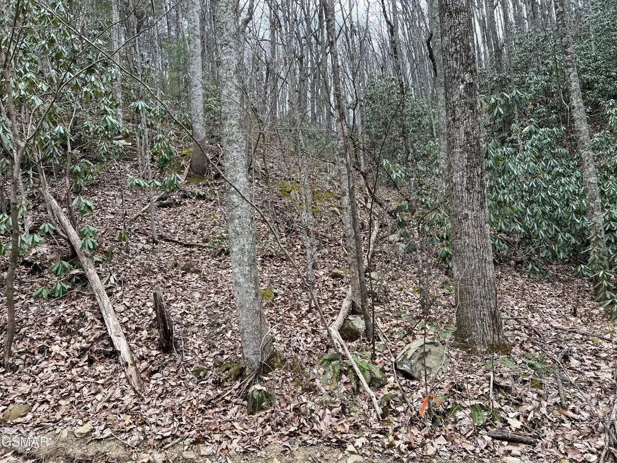 10 John Sevier Drive, Sevierville, TN 37876 - #1