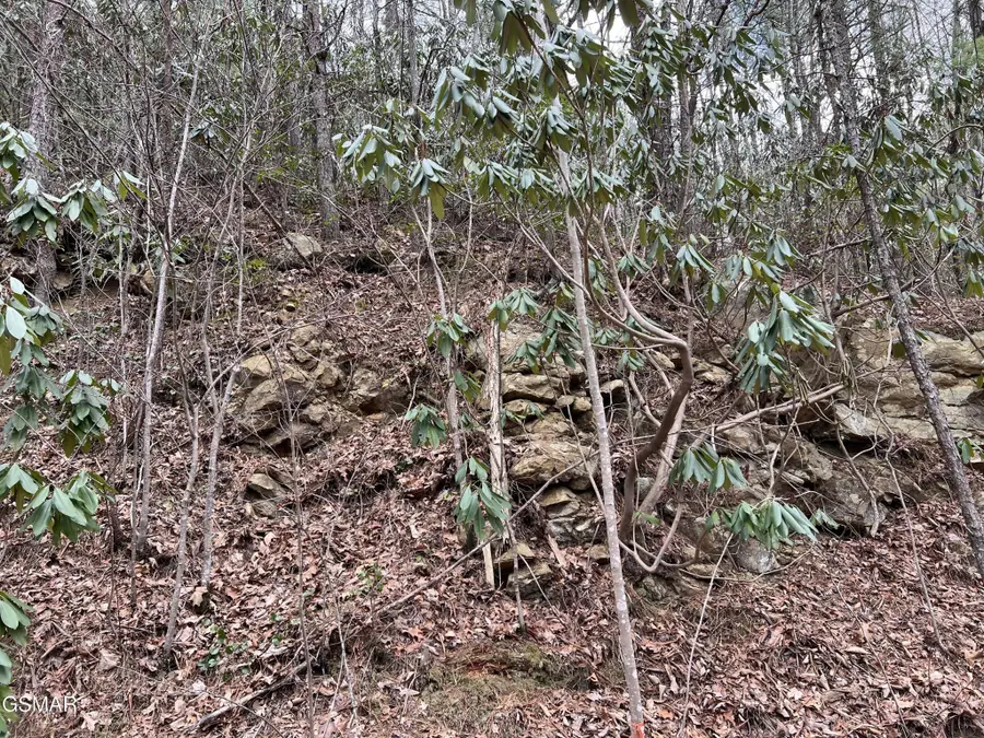 10 John Sevier Drive, Sevierville, TN 37876 - #3