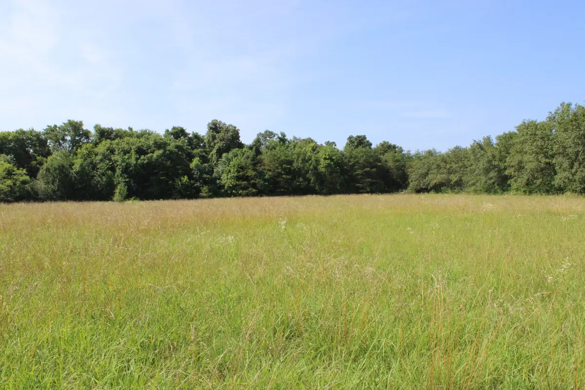 0 Myers Cove Rd, McMinnville, TN 37110 - #1