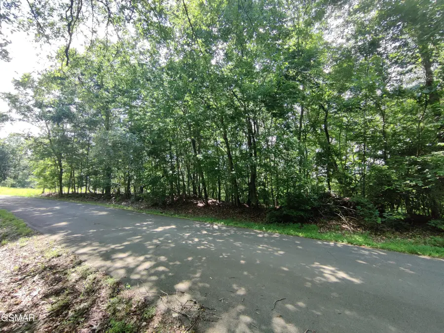 3347 Mountain View Lane, Baneberry, TN 37890 - #2