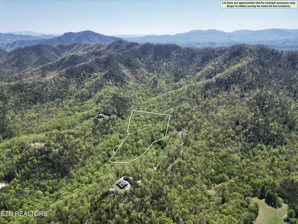 981 Critter Valley Way, Newport, TN 37821