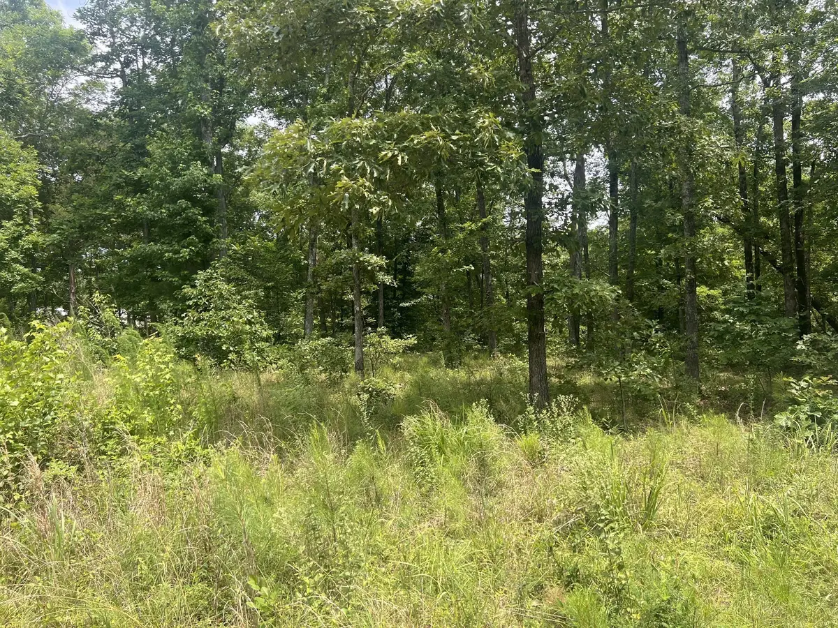 17 Lake View Drive, Linden, TN 37096 - #1
